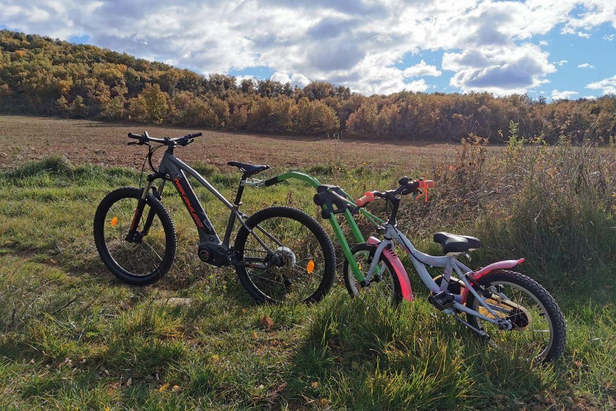 VTT