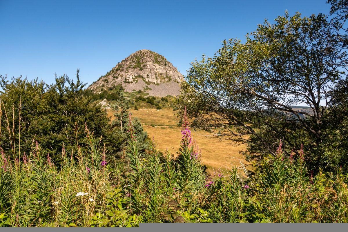Mont Gerbier de Jonc